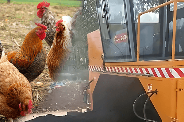 chicken manure composting for harmless